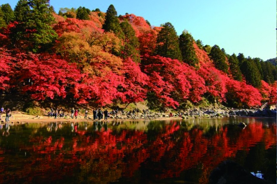 東海随一の紅葉スポット「香嵐渓」と岐阜 金華山・郡上を巡る紅葉狩りツアー1泊２日